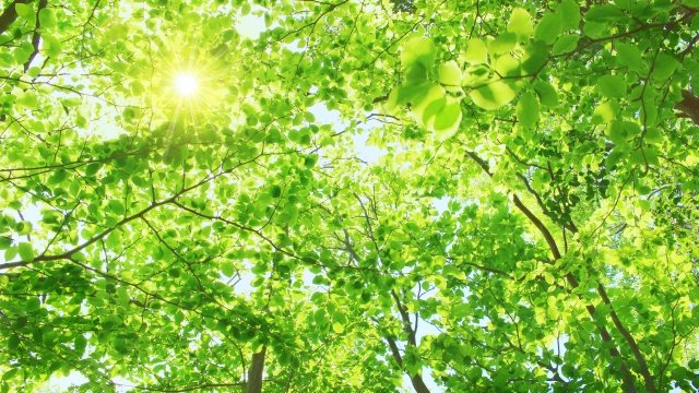 内視鏡検査の安全性と痛み軽減対策